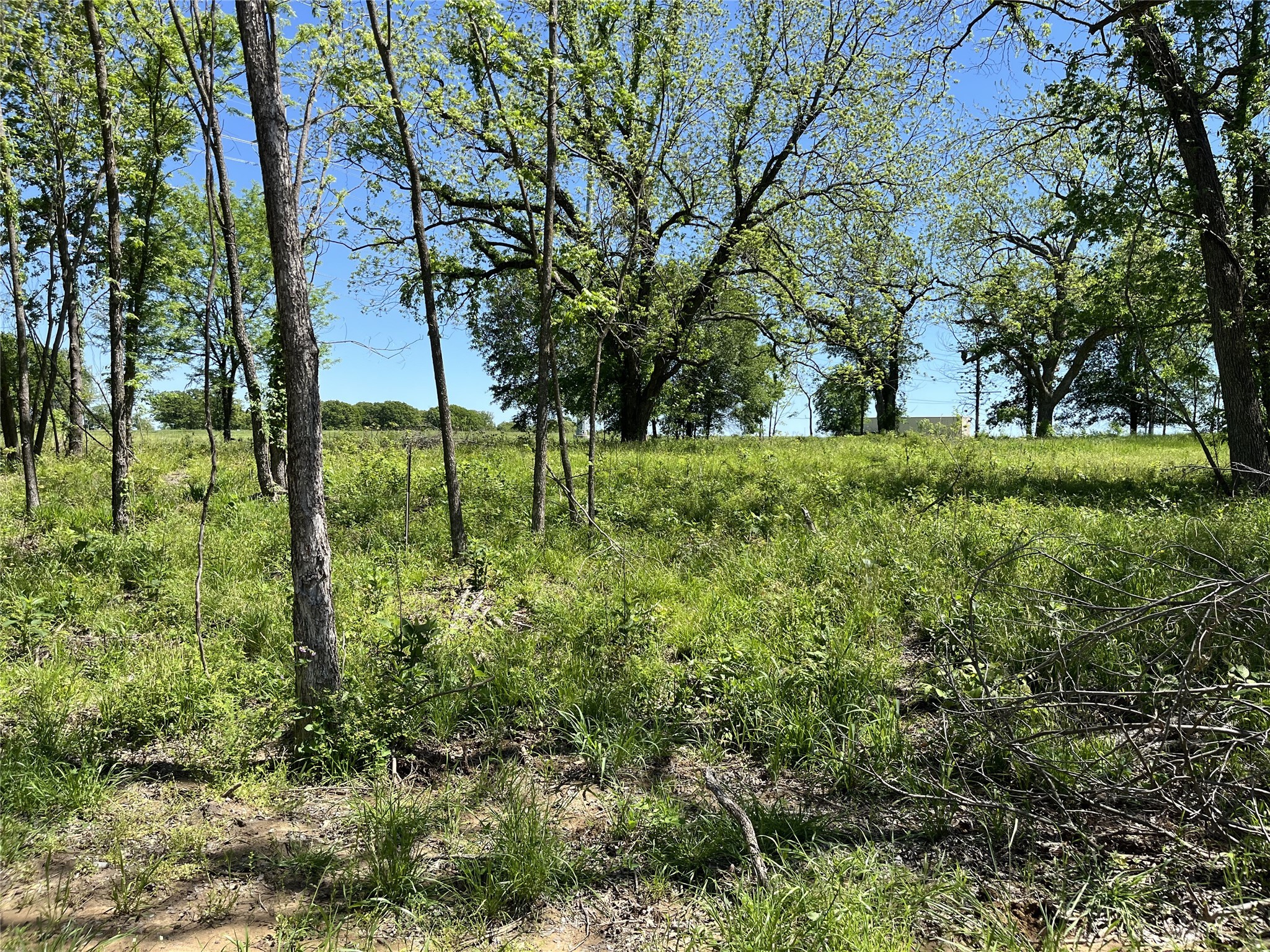 345 Wildflower Way Dodd City TX 75438