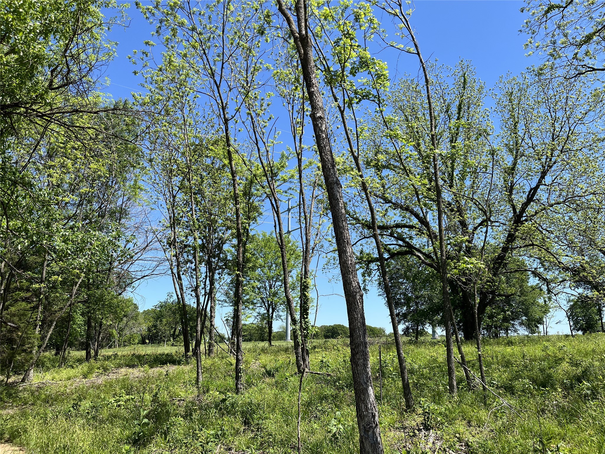 345 Wildflower Way Dodd City TX 75438
