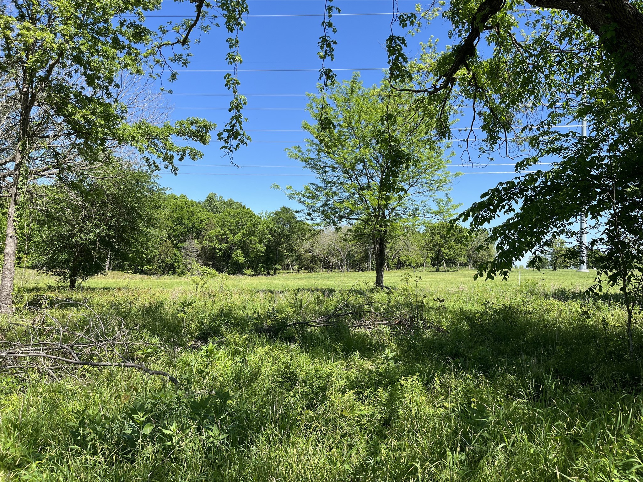 345 Wildflower Way Dodd City TX 75438