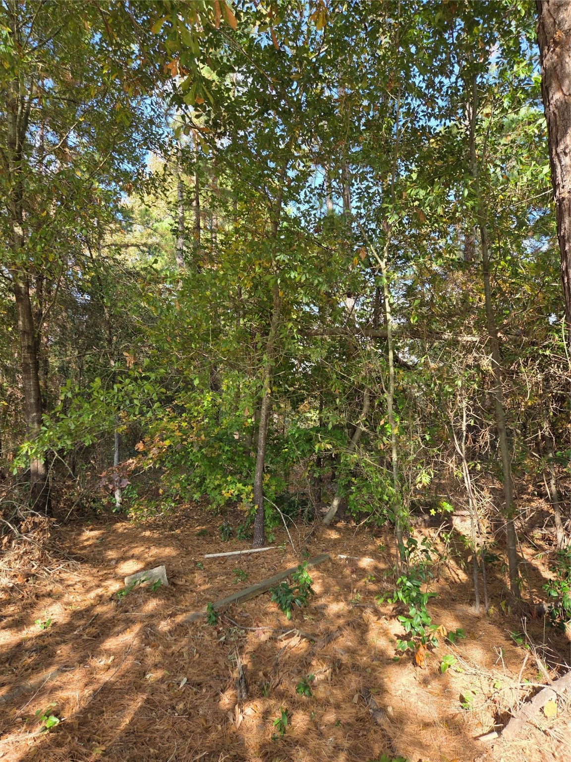 15752 Meadow Circle Bullard TX 75757