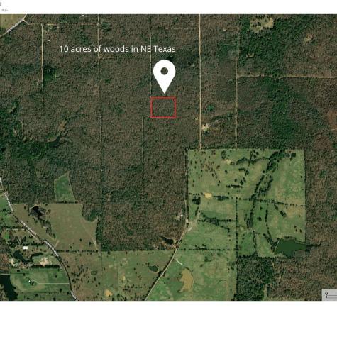 000 Centerwood Street Paris TX 75462