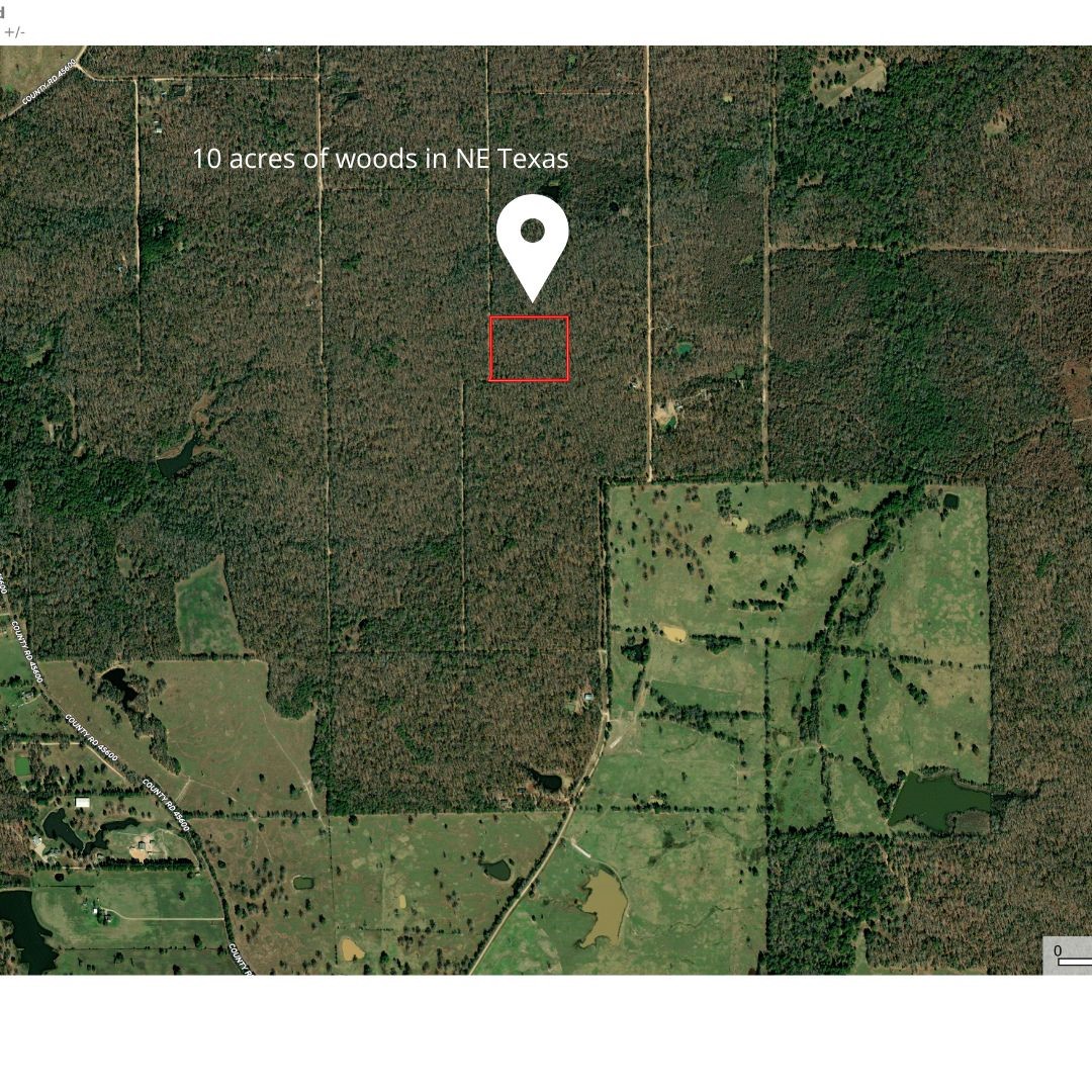 000 Centerwood Street Paris TX 75462
