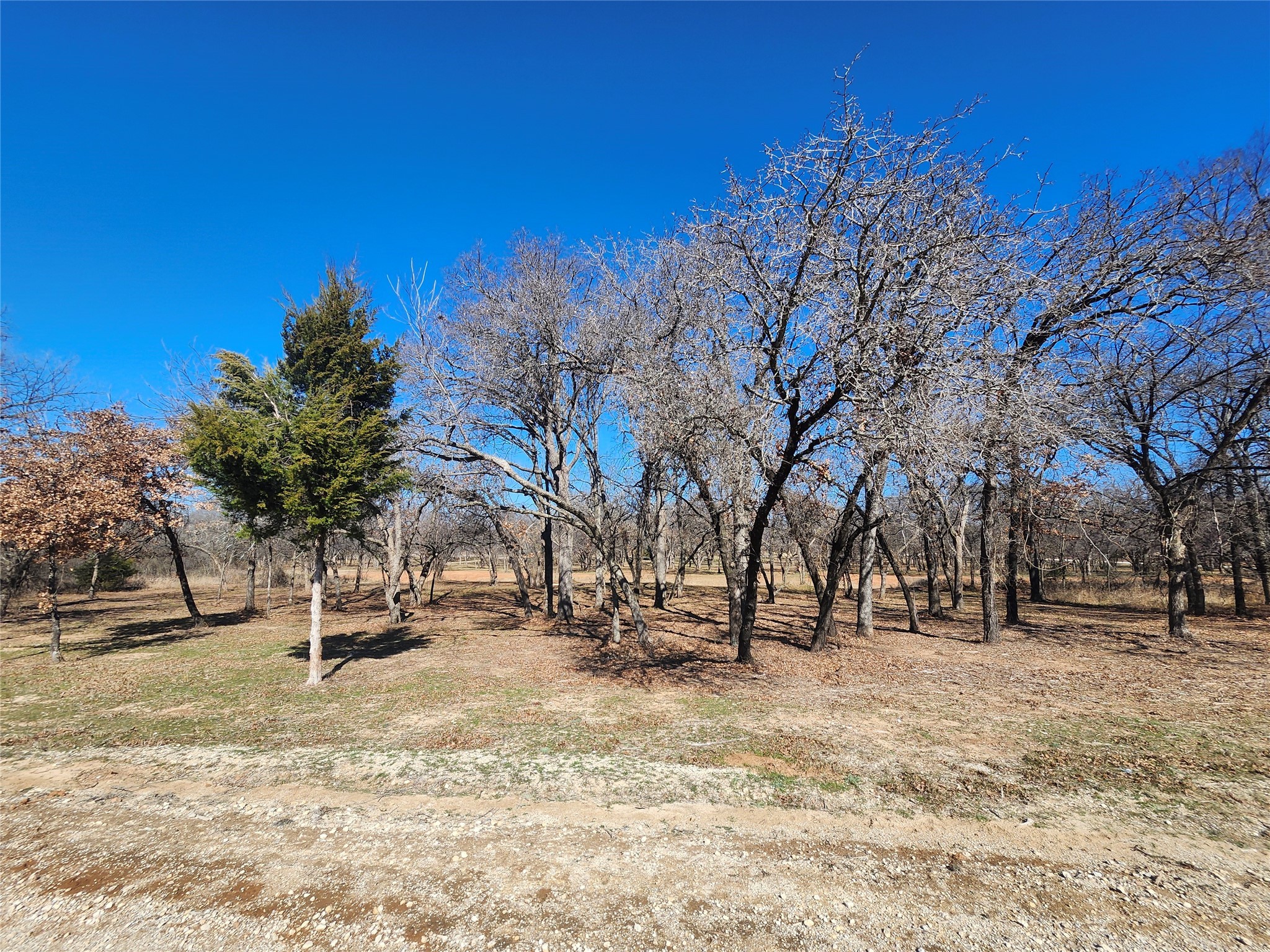 106 Comanche Trail Nocona TX 76255