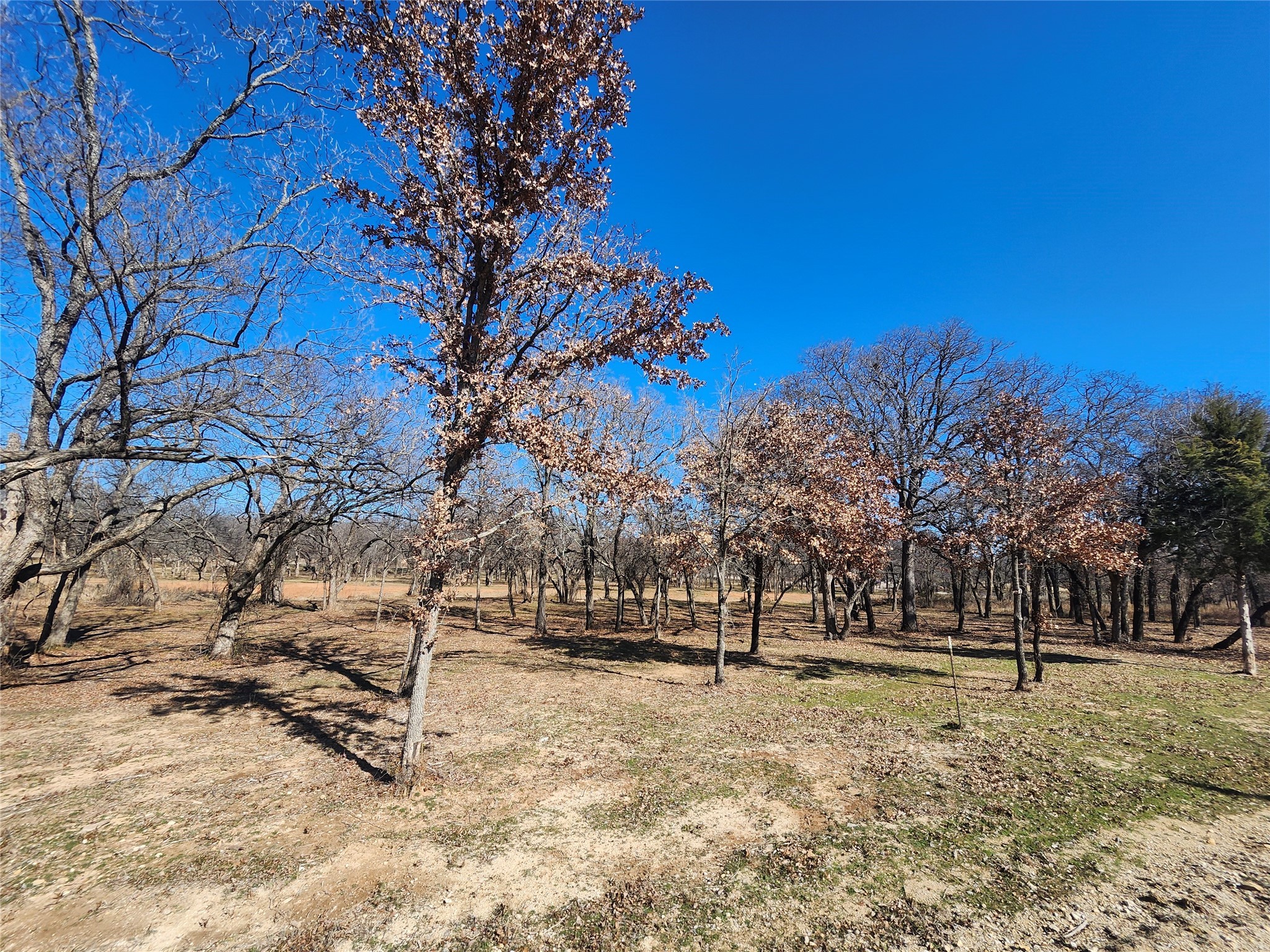 106 Comanche Trail Nocona TX 76255