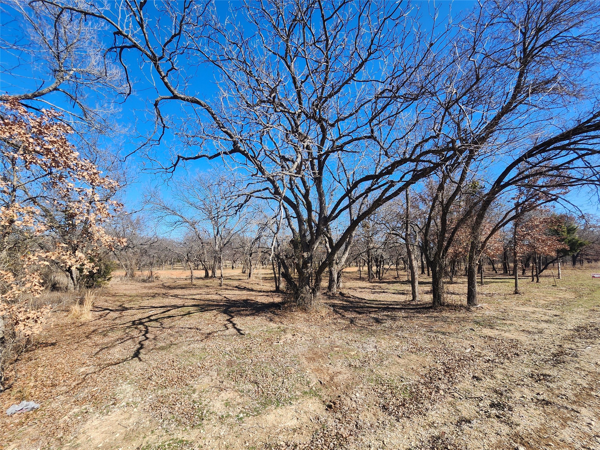 106 Comanche Trail Nocona TX 76255