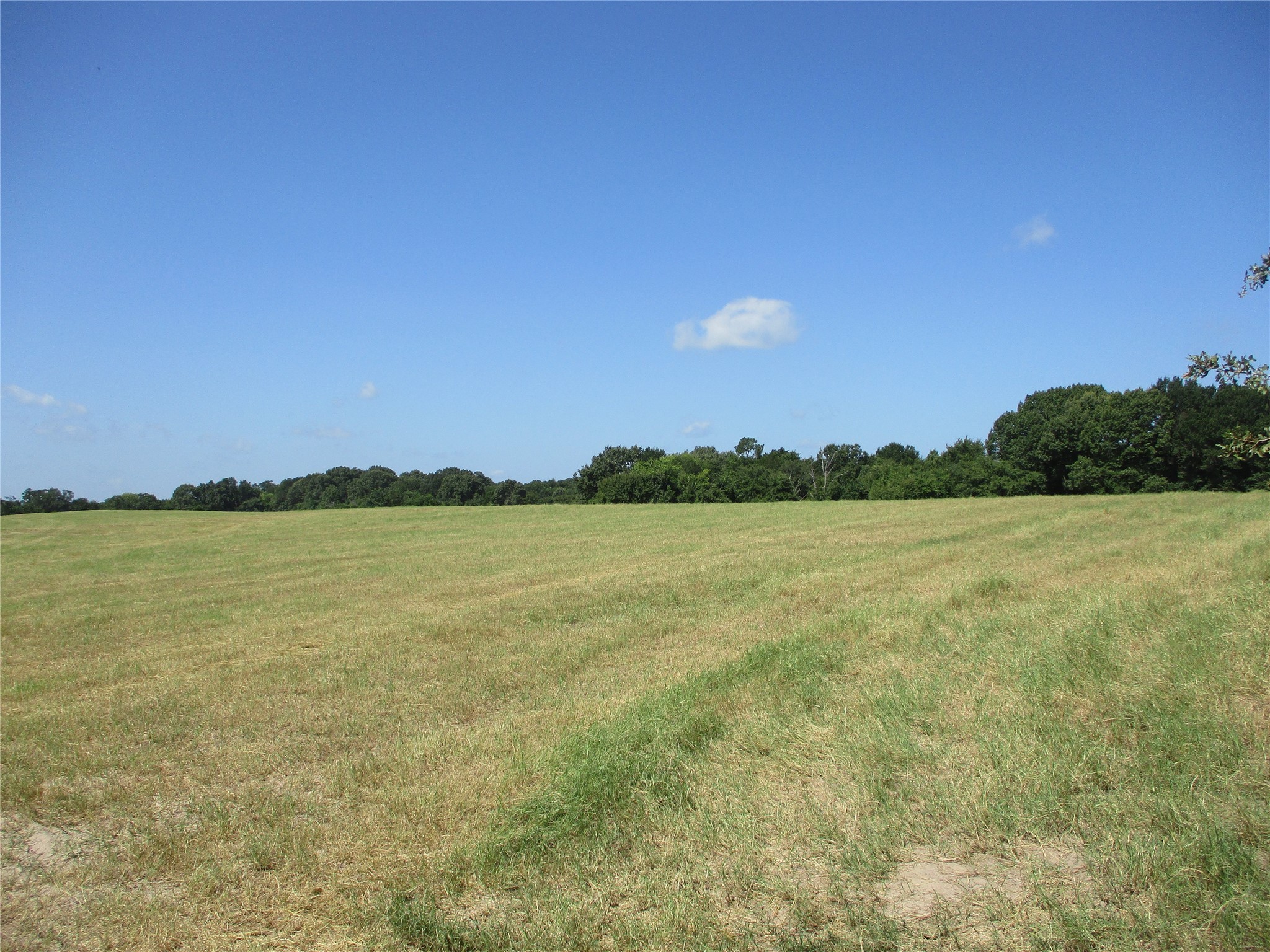 Tbd Rs County Road 4020 Emory TX 75440