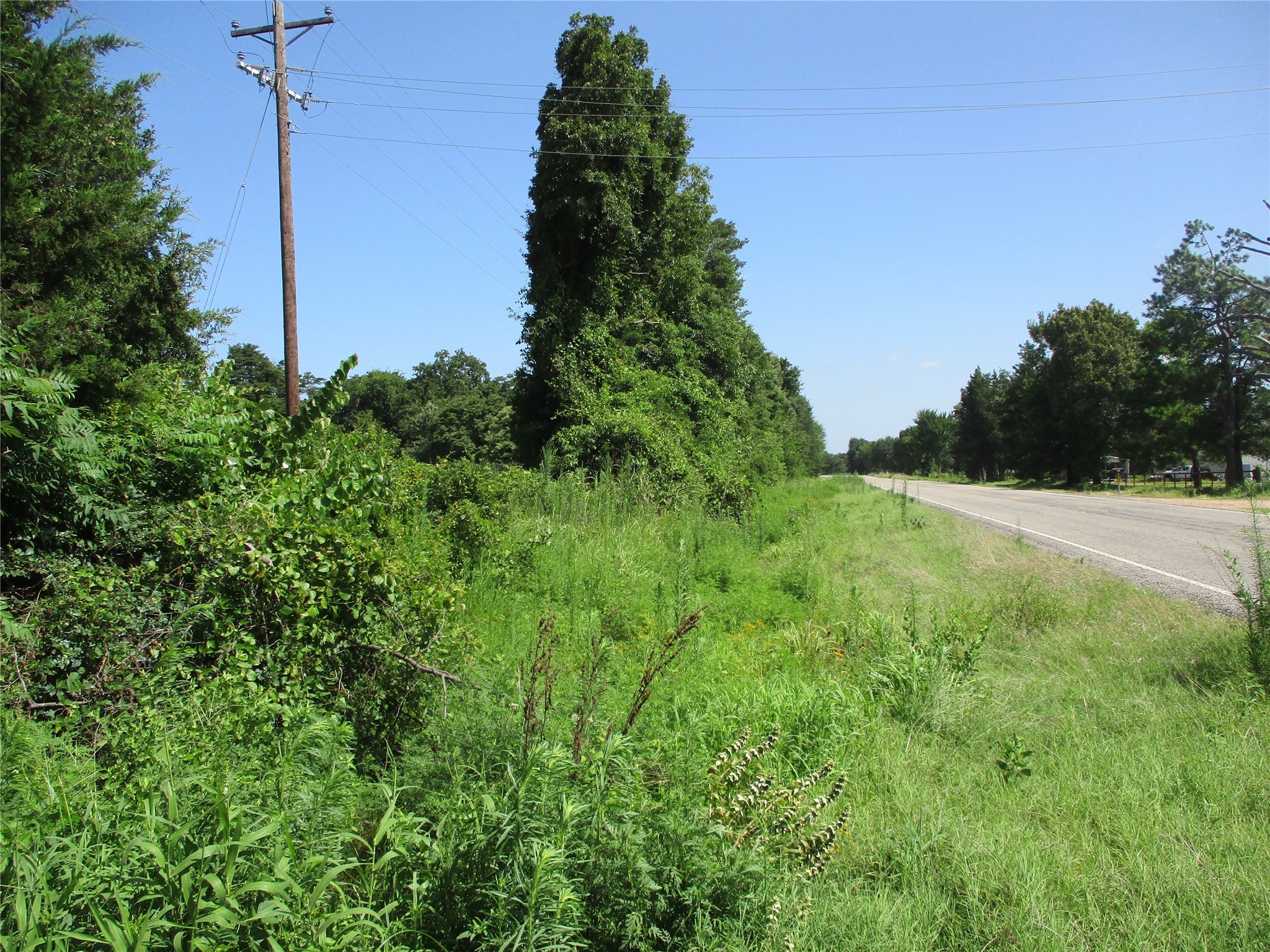 Tbd Rs County Road 4020 Emory TX 75440