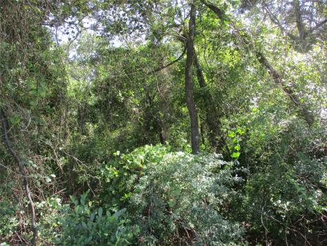 Tbd Rs County Road 4020 Emory TX 75440