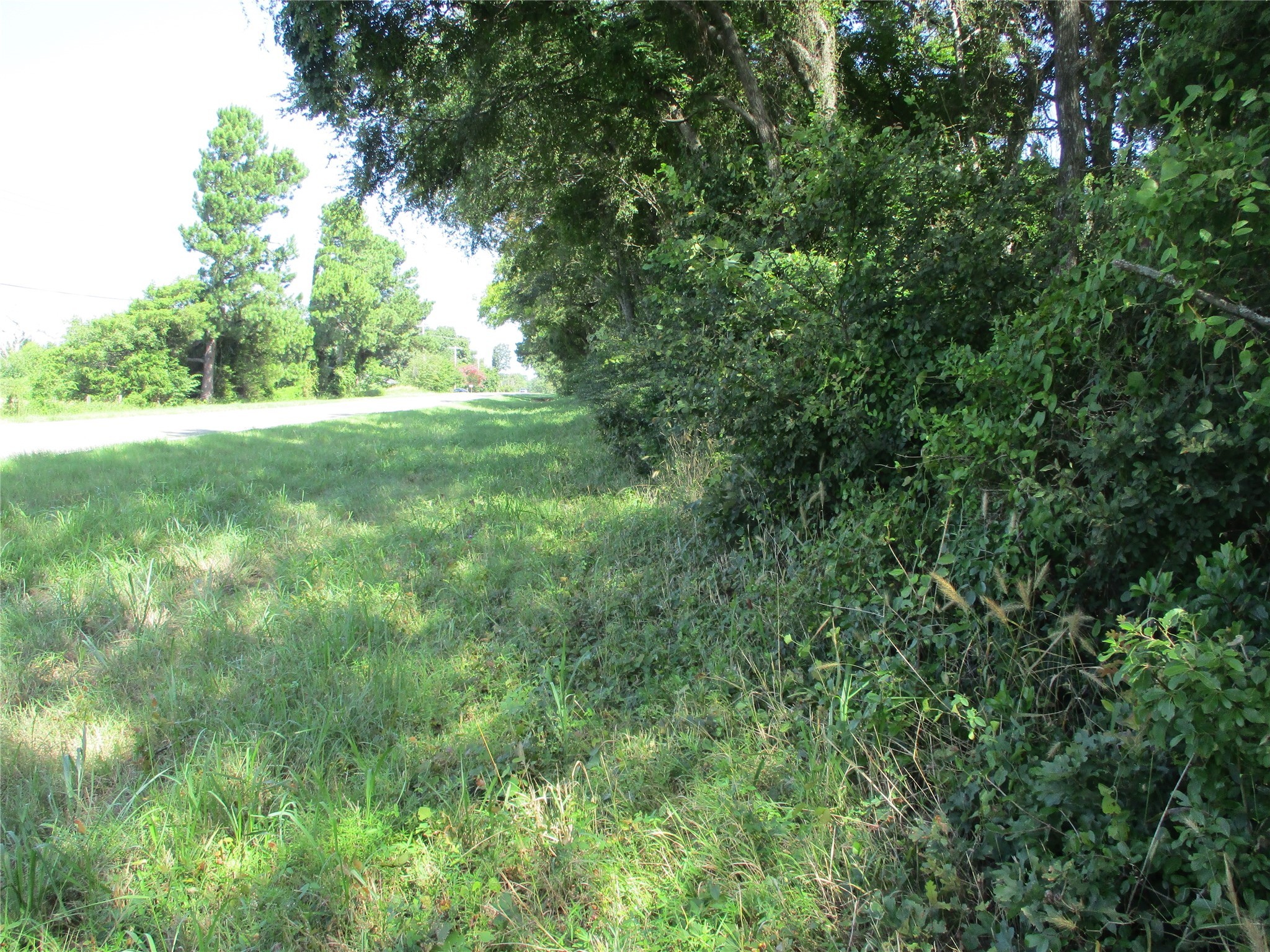 Tbd Rs County Road 4020 Emory TX 75440