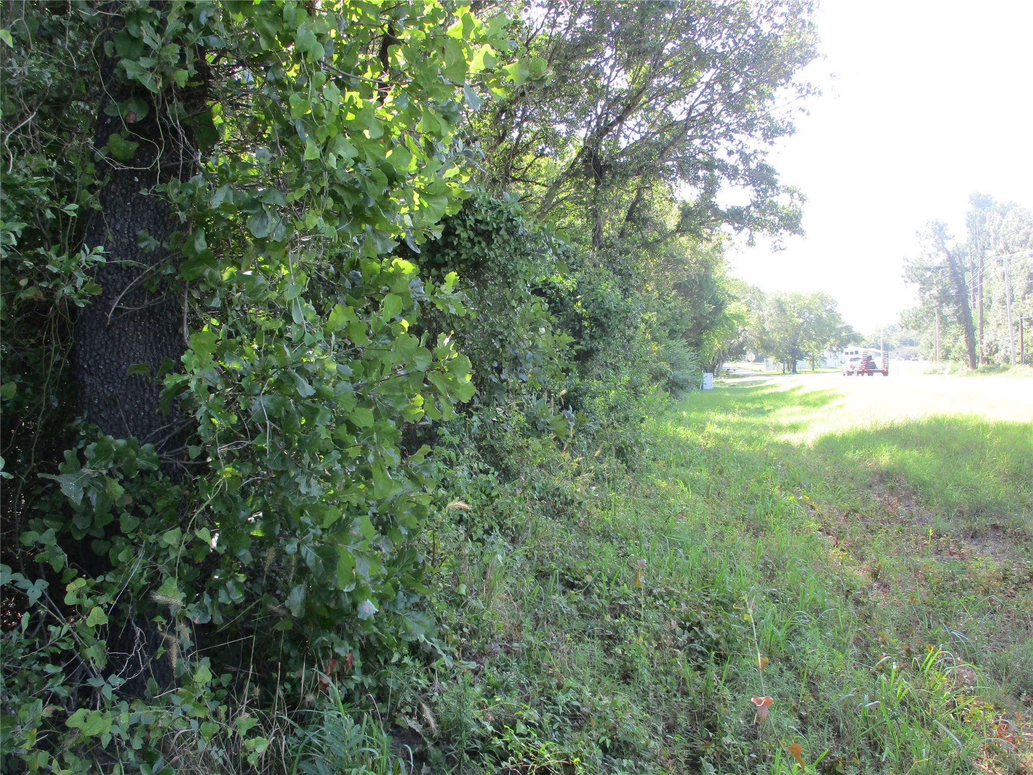 Tbd Rs County Road 4020 Emory TX 75440