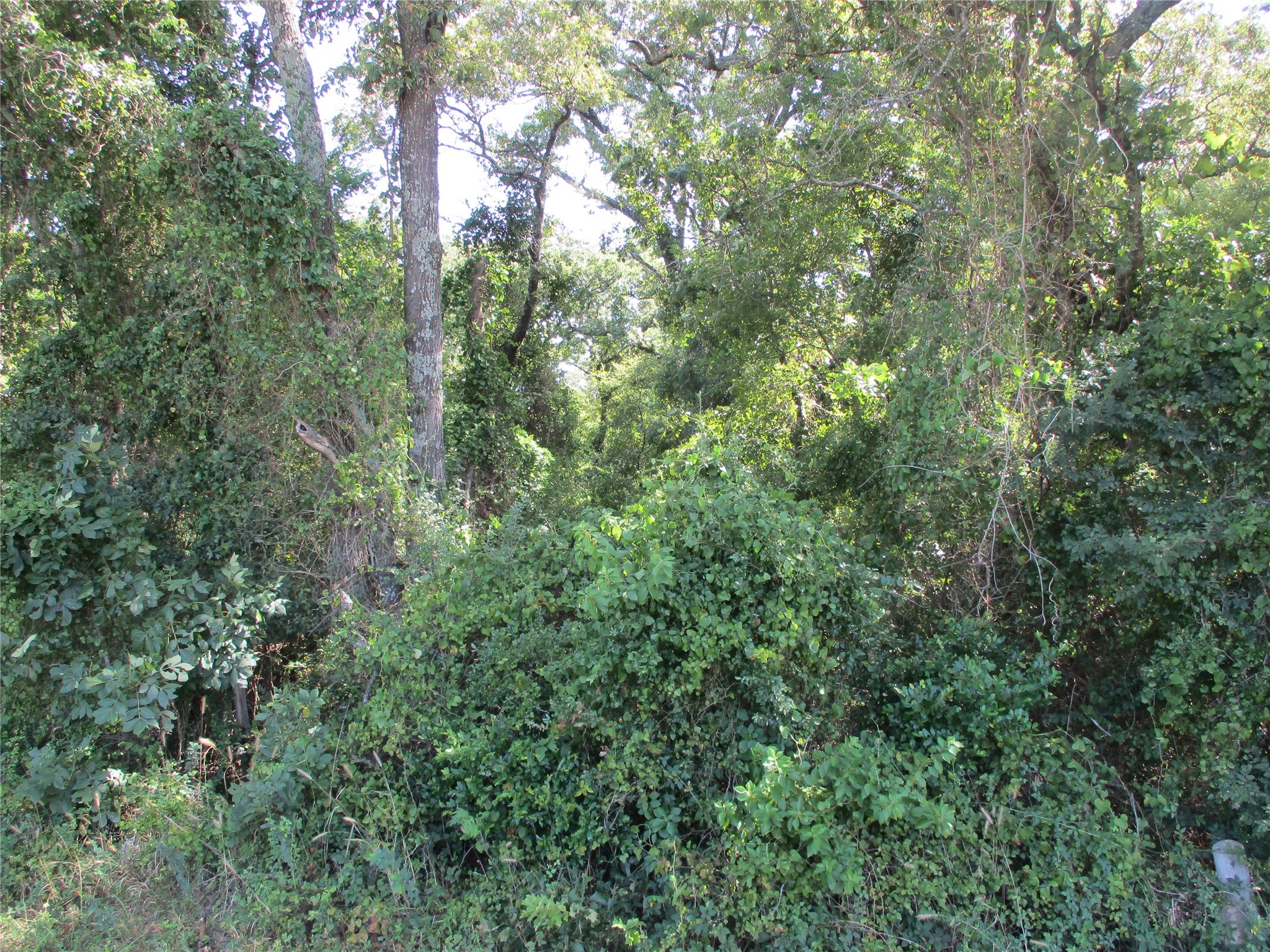 Tbd Rs County Road 4020 Emory TX 75440