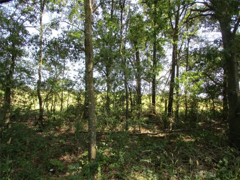 Tbd Rs County Road 4020 Emory TX 75440