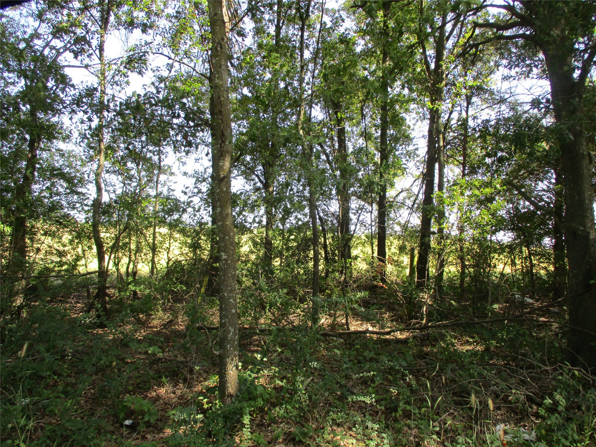 Tbd Rs County Road 4020 Emory TX 75440