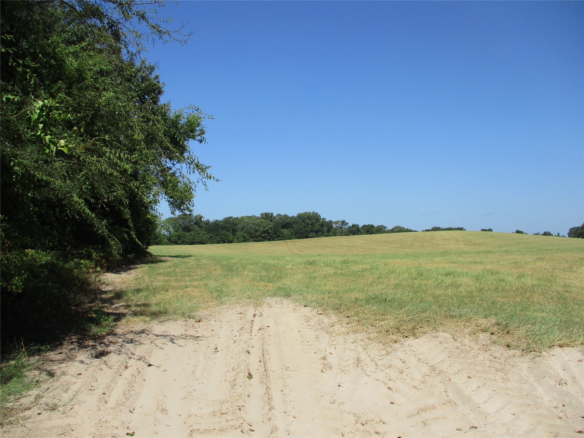 Tbd Rs County Road 4020 Emory TX 75440