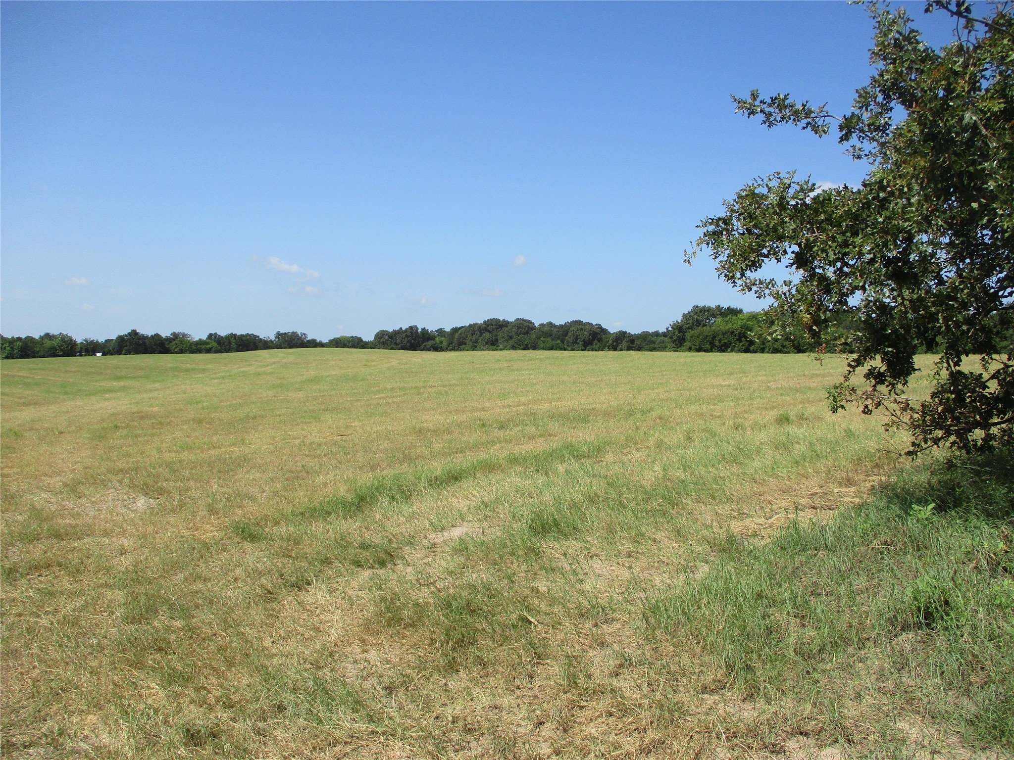 Tbd Rs County Road 4020 Emory TX 75440