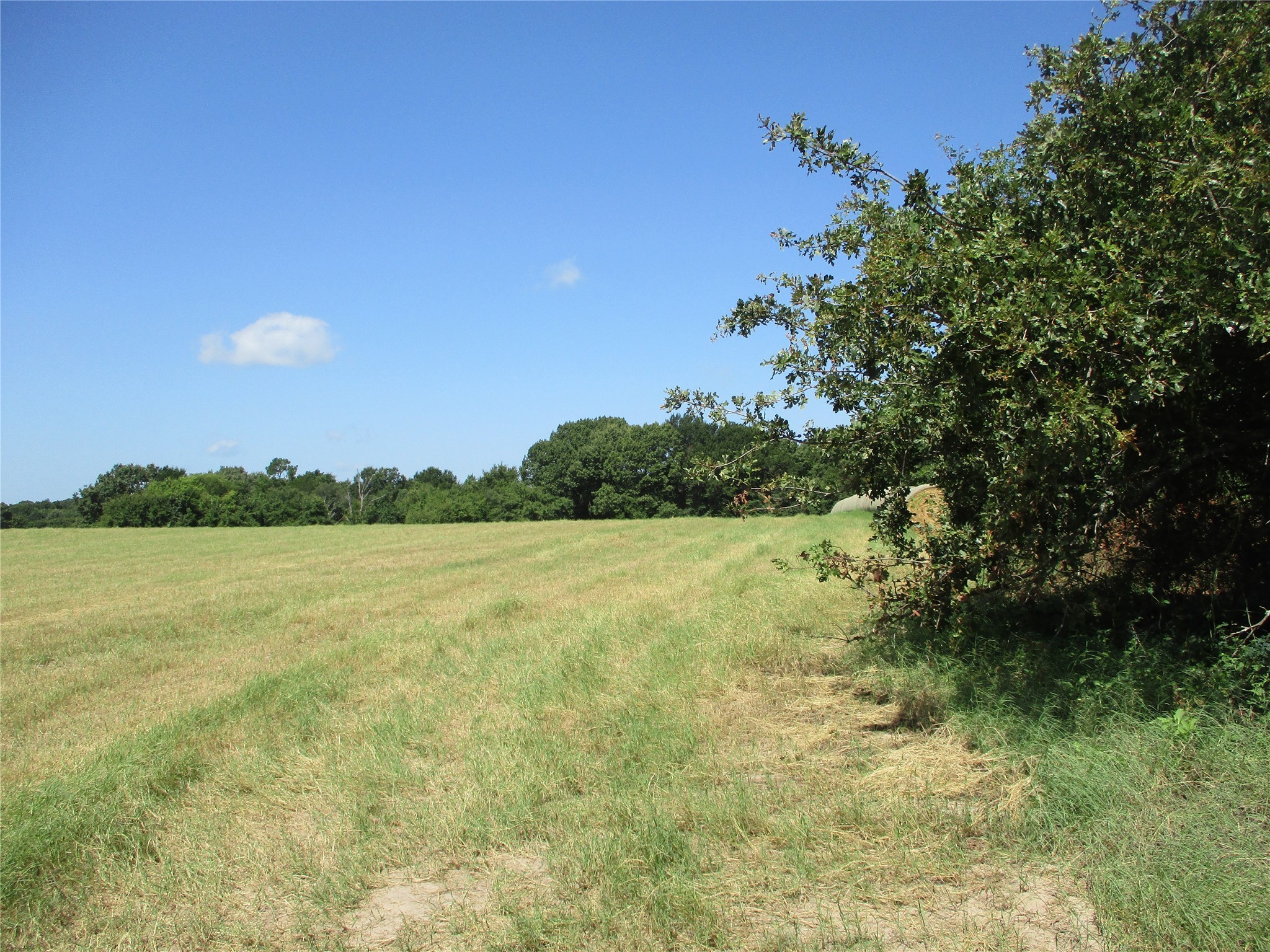 Tbd Rs County Road 4020 Emory TX 75440