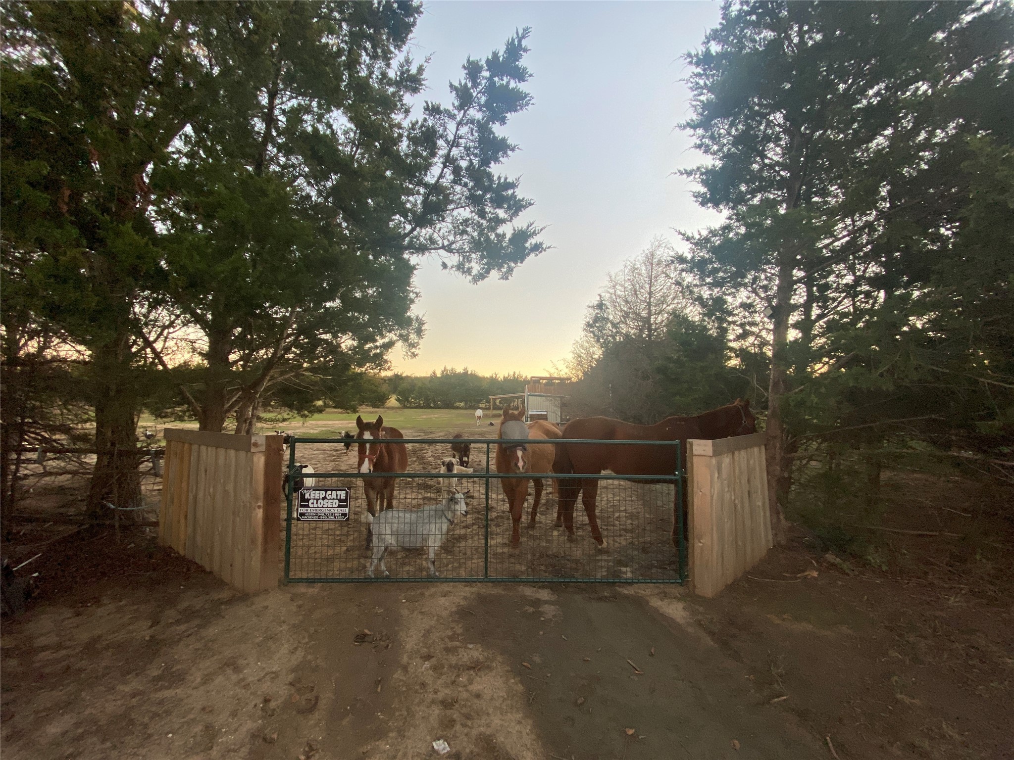 660 County Road 2184 Gainesville TX 76240
