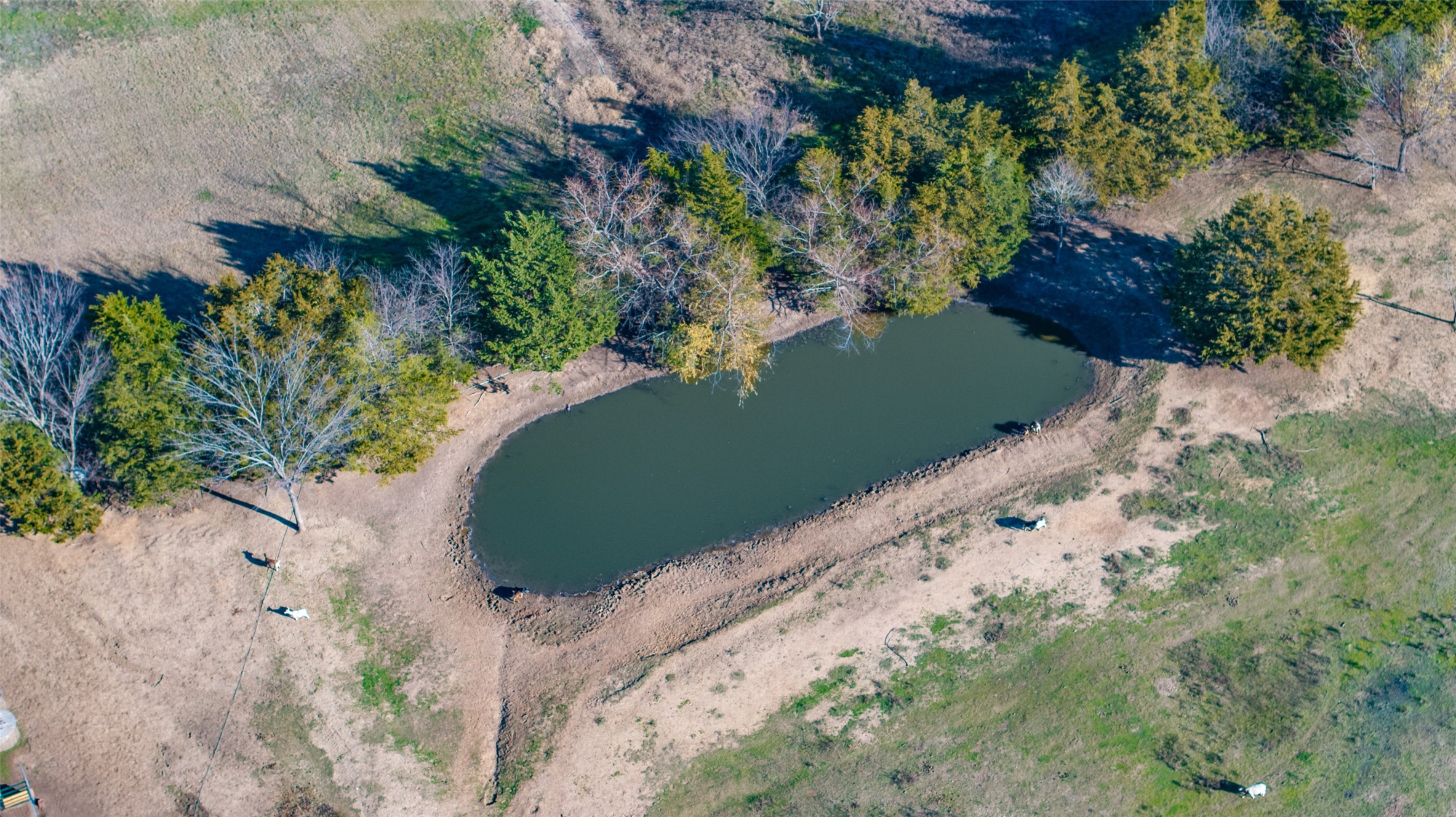 660 County Road 2184 Gainesville TX 76240