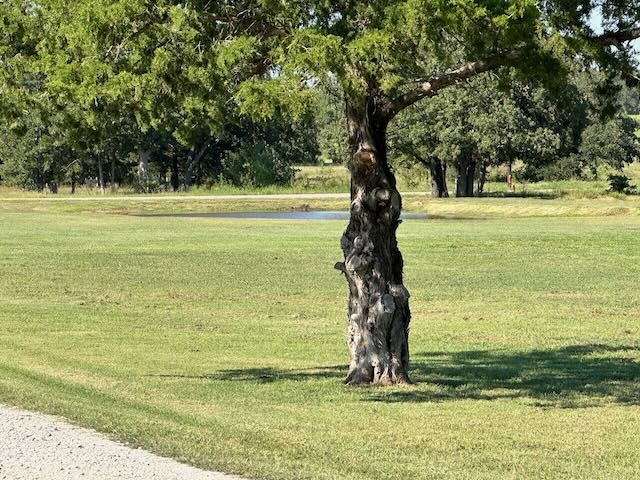 660 County Road 2184 Gainesville TX 76240