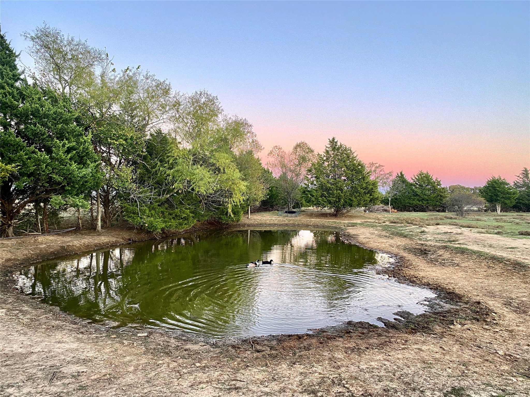 660 County Road 2184 Gainesville TX 76240