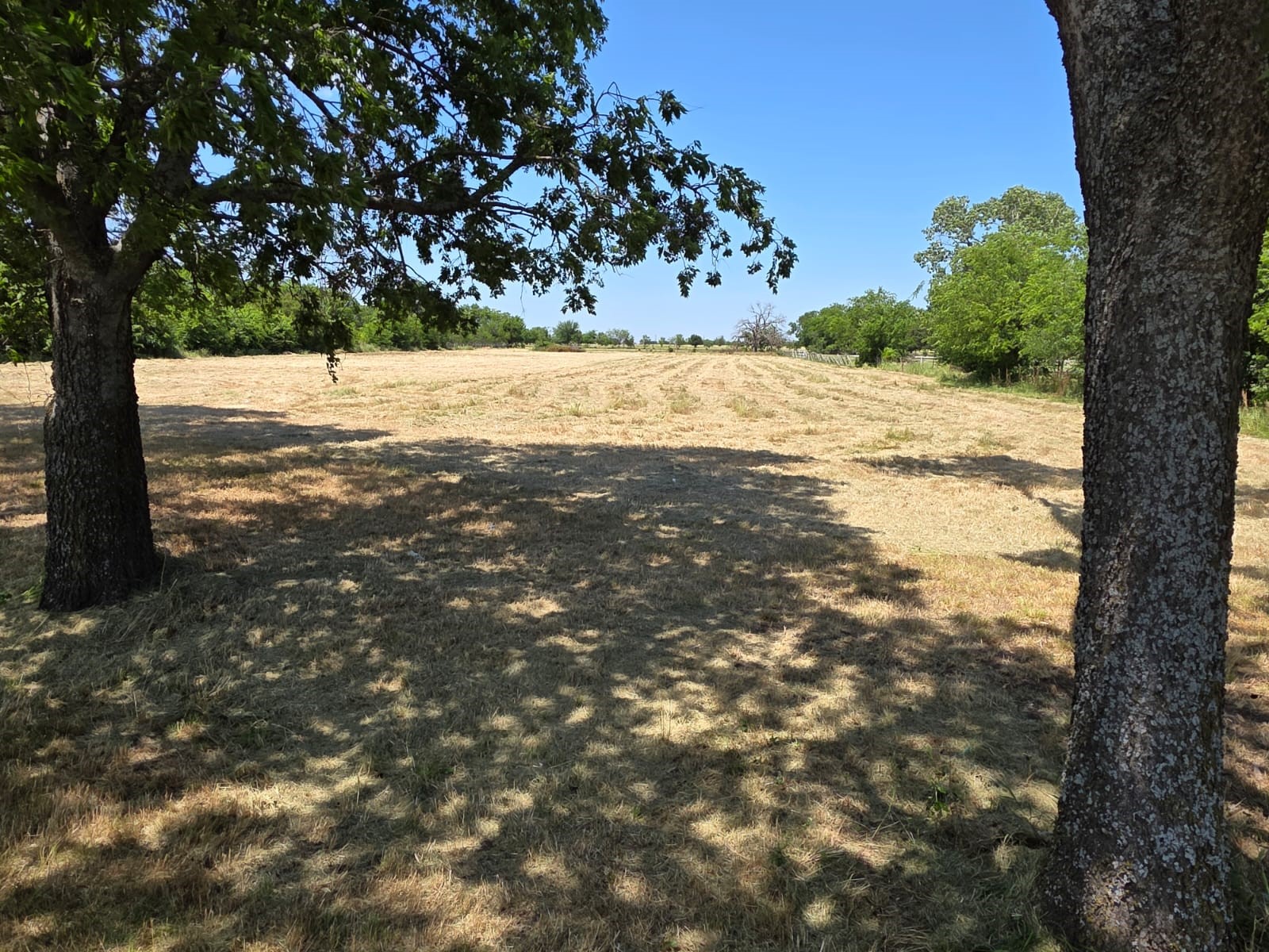 0 Mccormick Road Oak Point TX 75068