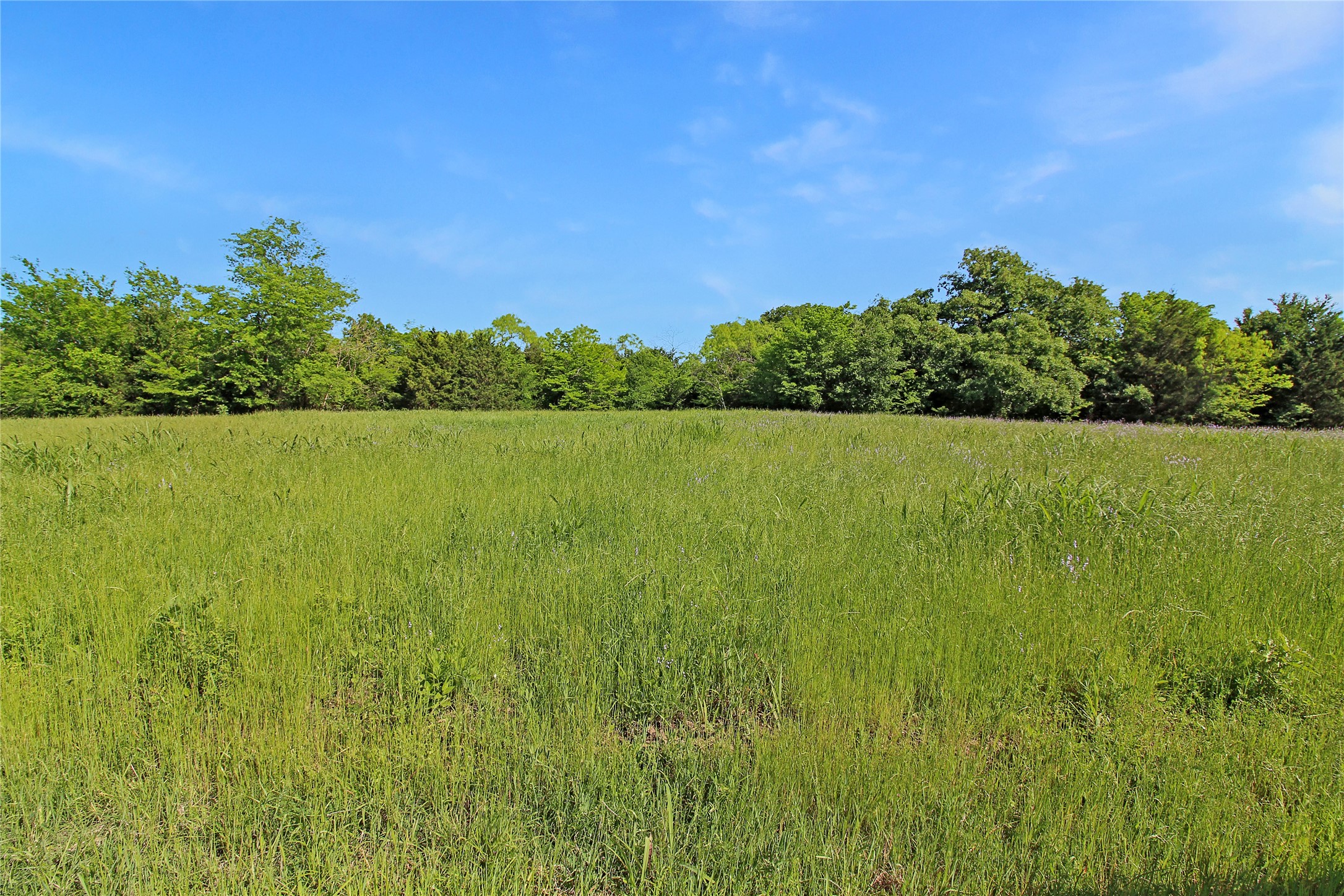 7304 Shady Lane Scurry TX 75158
