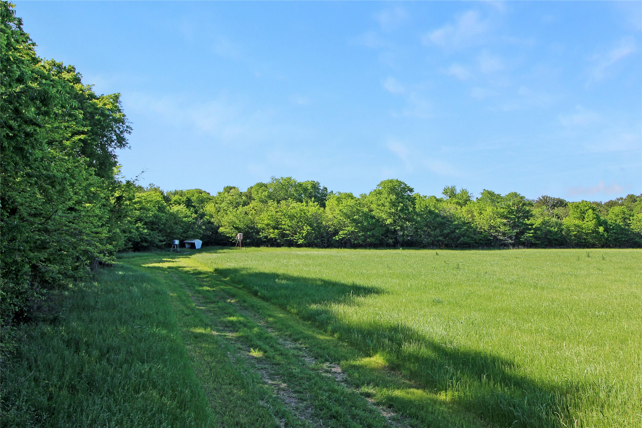 7304 Shady Lane Scurry TX 75158