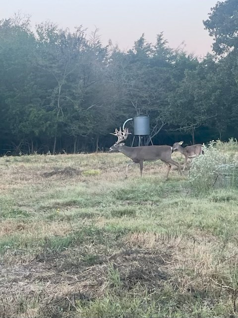 7304 Shady Lane Scurry TX 75158