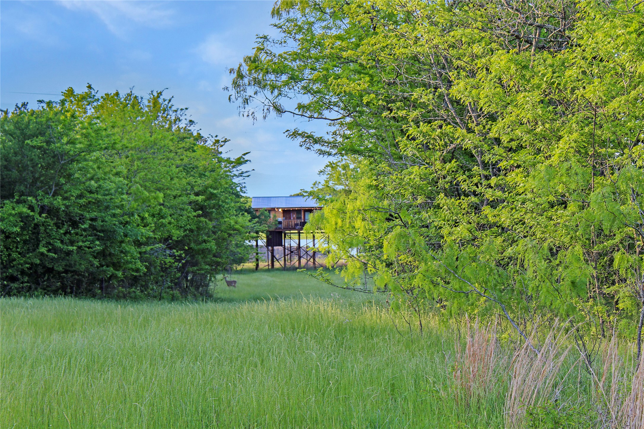 7304 Shady Lane Scurry TX 75158