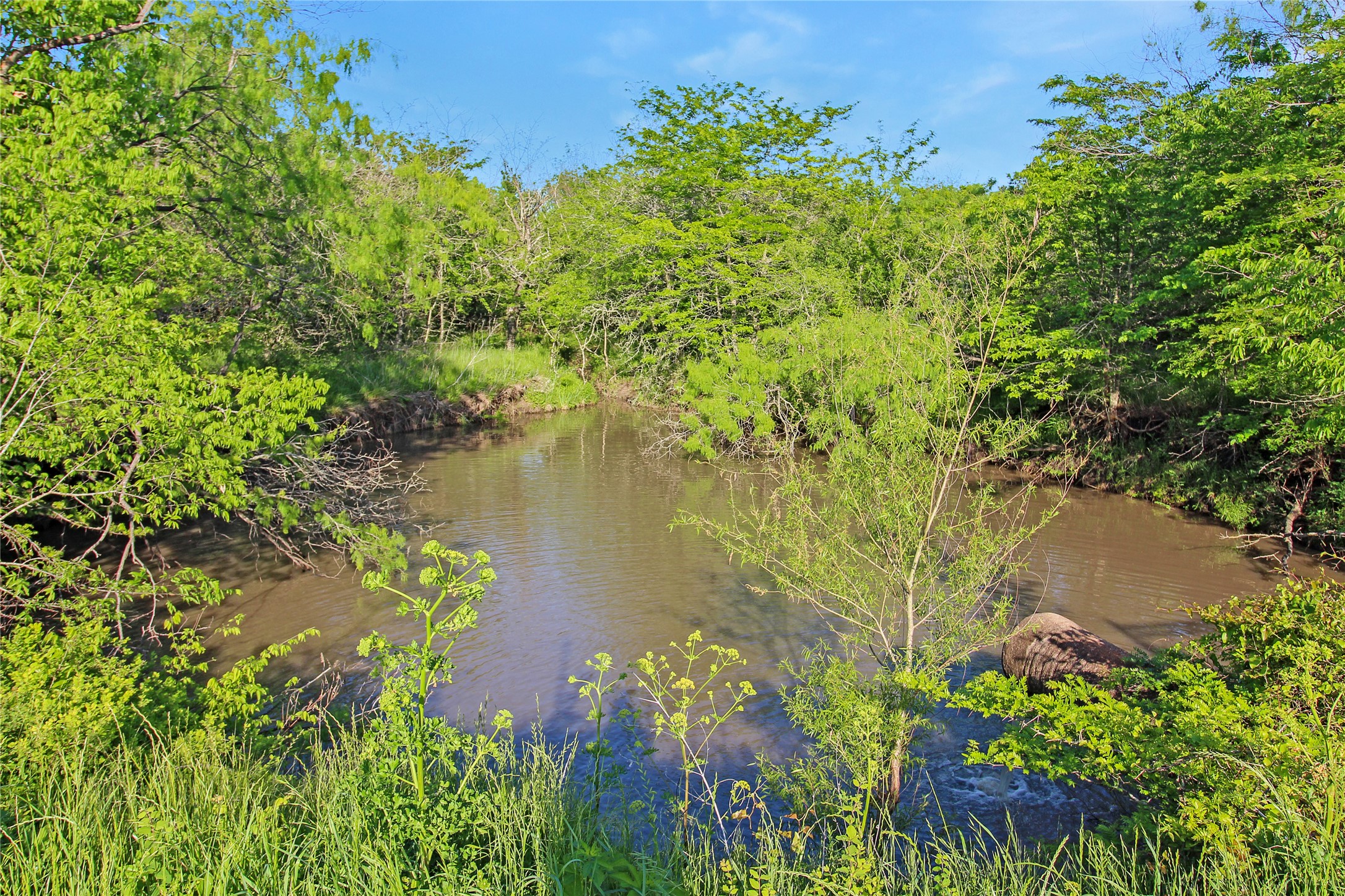 7304 Shady Lane Scurry TX 75158