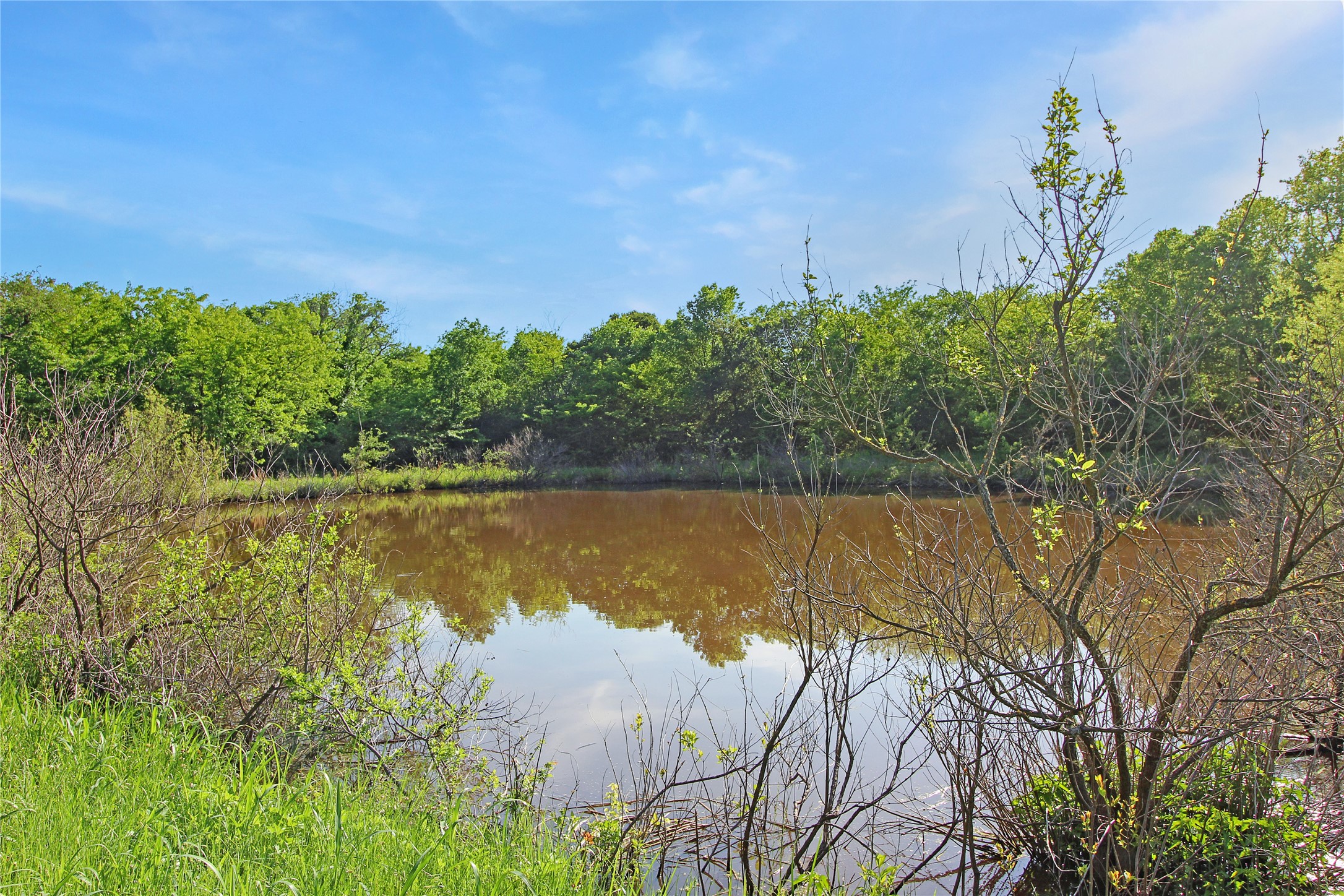 7304 Shady Lane Scurry TX 75158