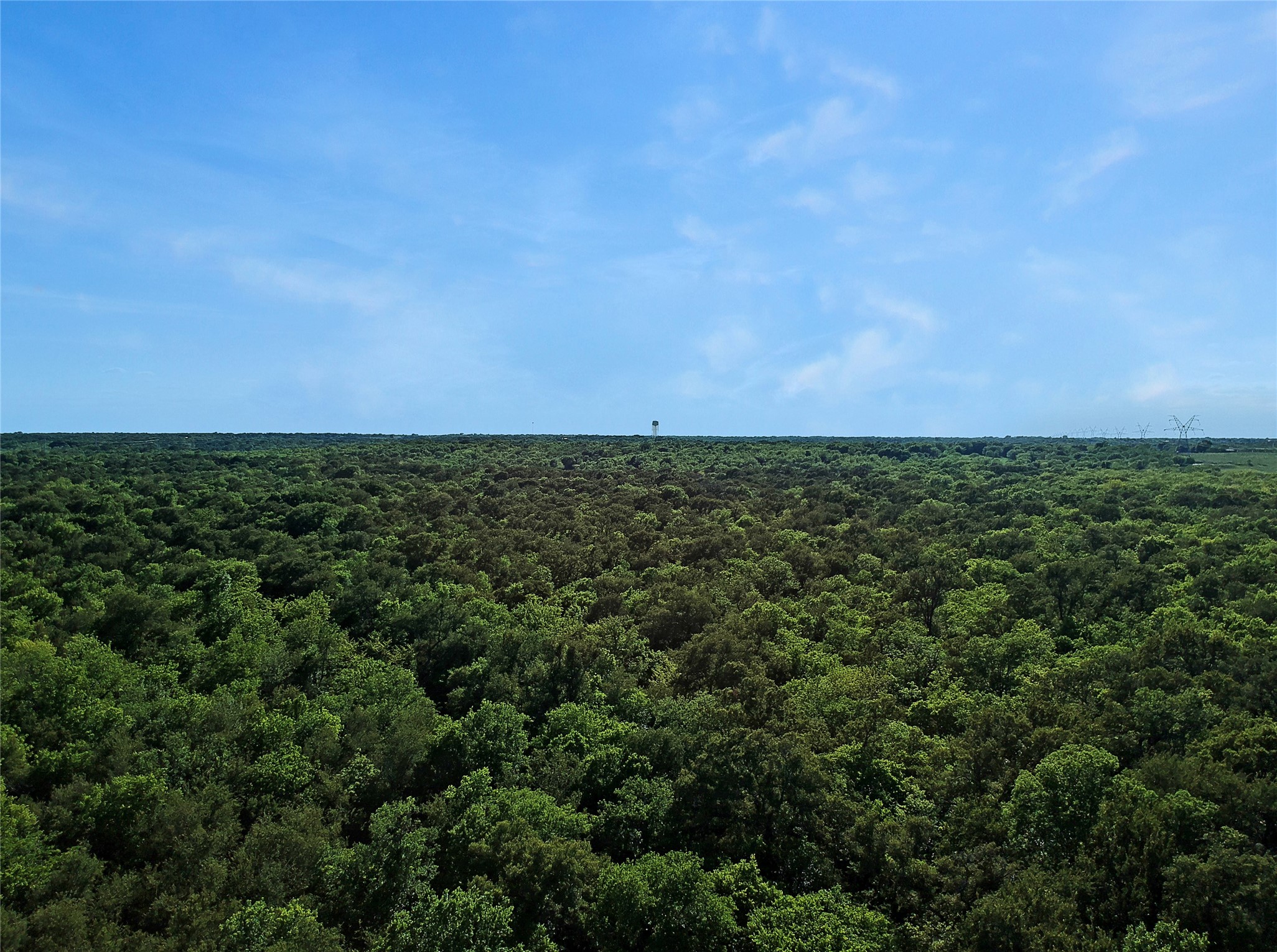 7304 Shady Lane Scurry TX 75158