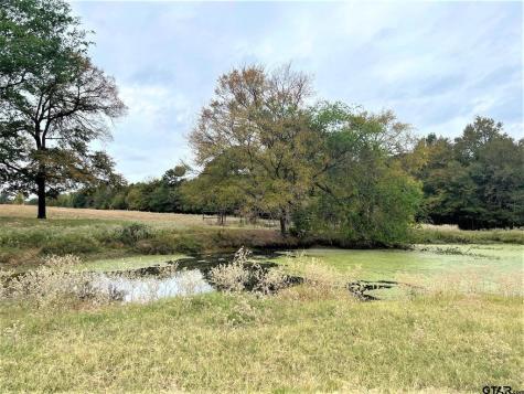 5386 Us Highway 271 Pittsburg TX 75686