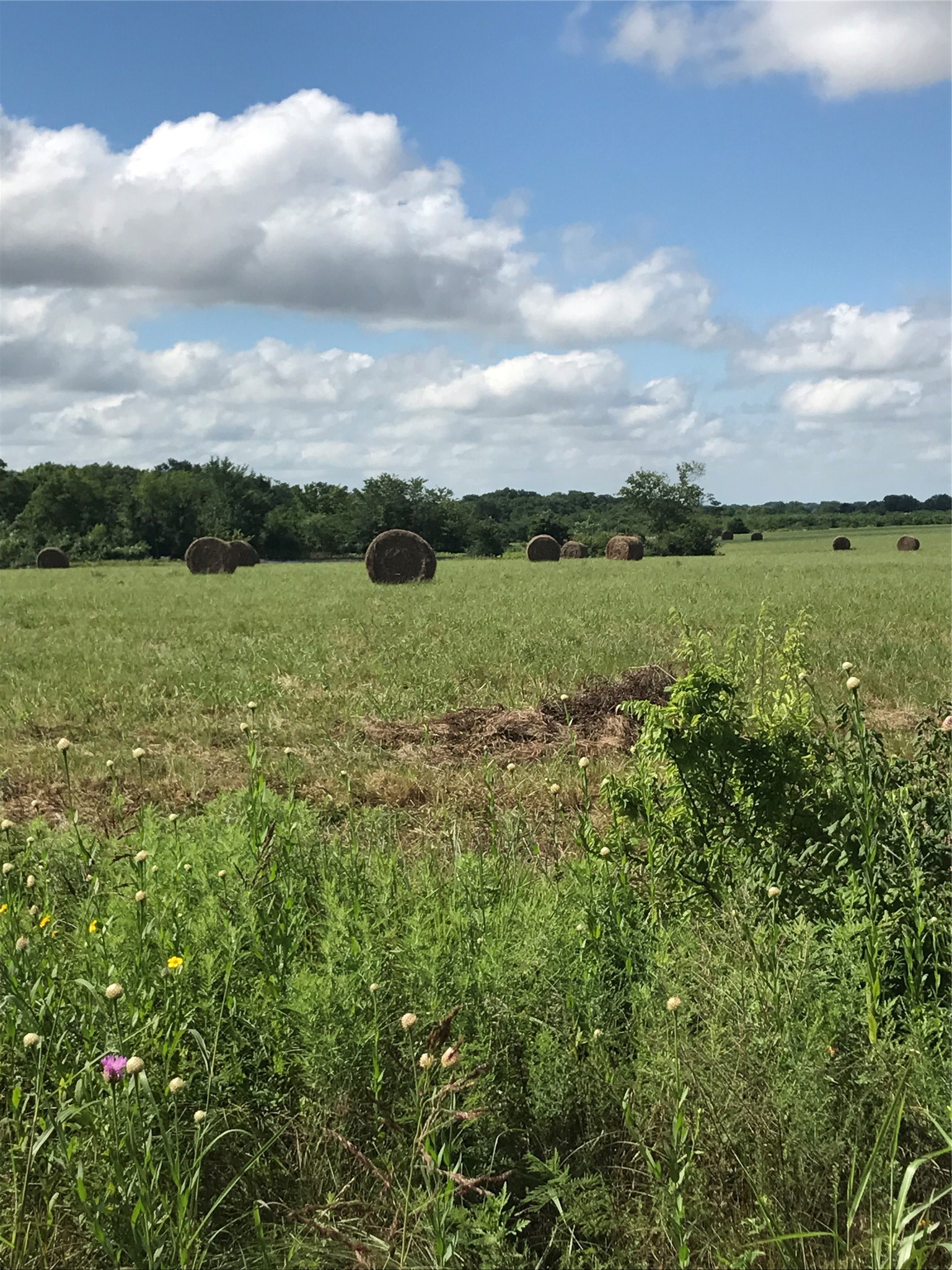 0000 Tbd I-20 Frontage Wills Point TX 75169