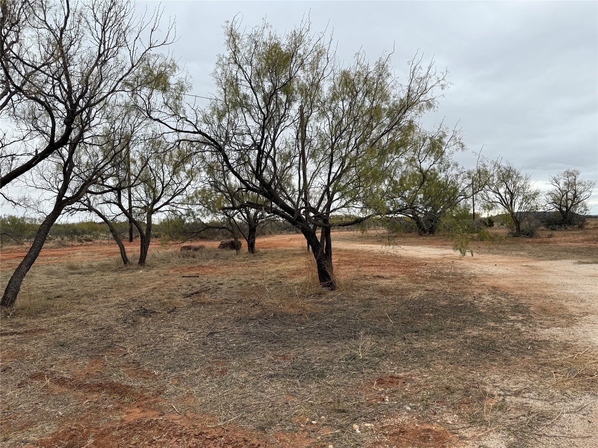 2681 Fm-1085 Merkel TX 79536