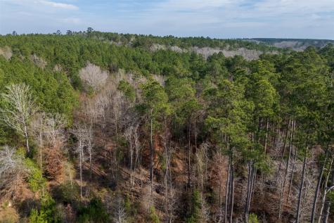 000 County Road 1245 Center TX 75935