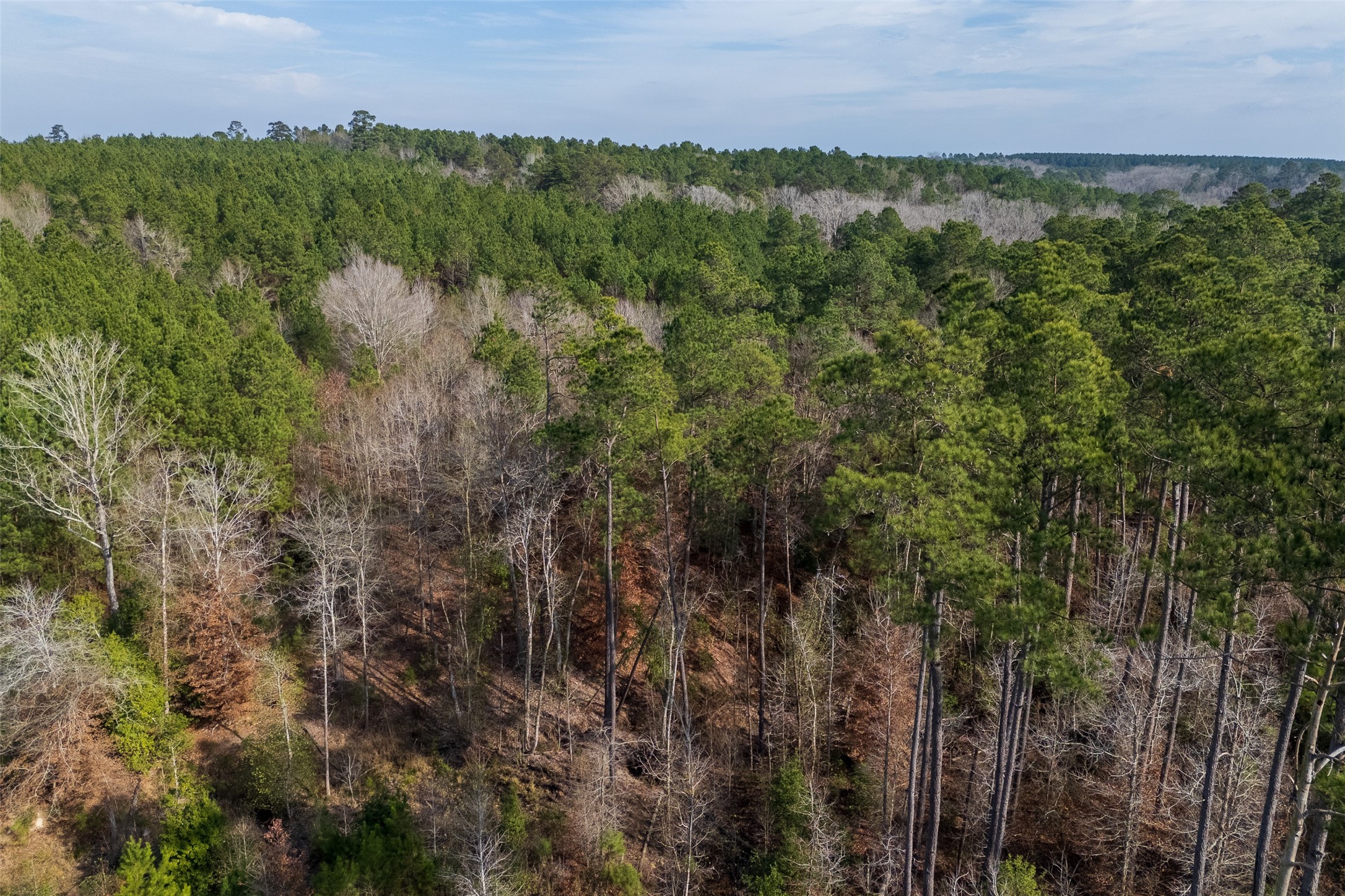 000 County Road 1245 Center TX 75935