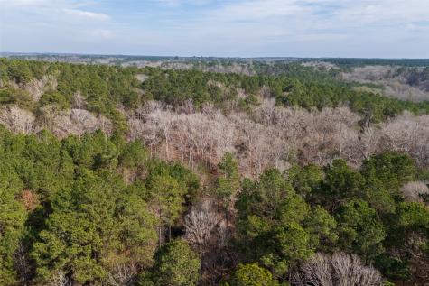 000 County Road 1245 Center TX 75935