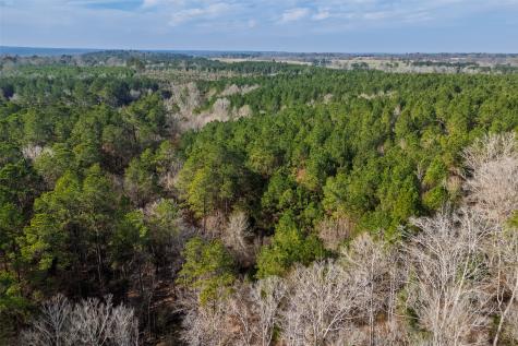 000 County Road 1245 Center TX 75935