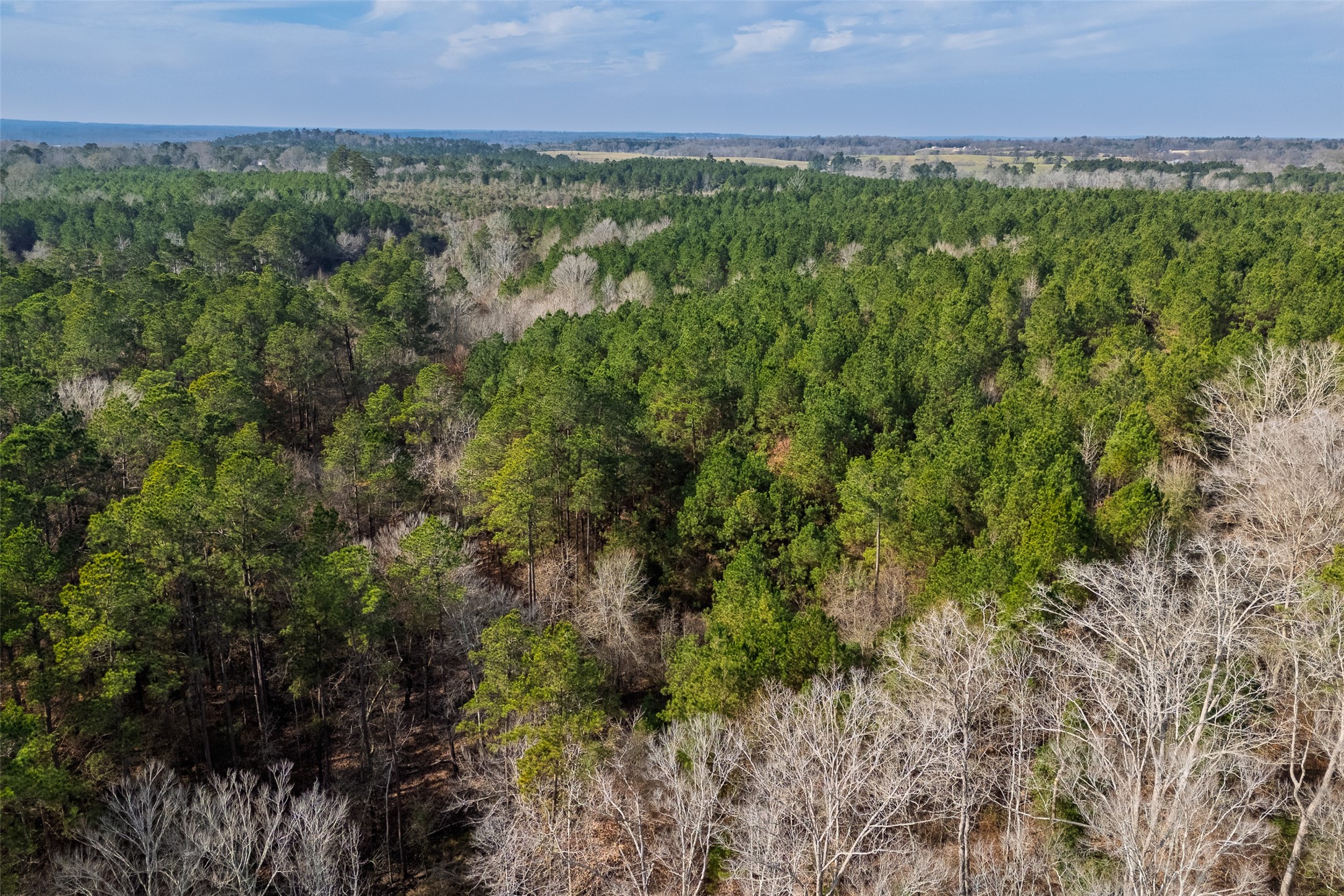 000 County Road 1245 Center TX 75935
