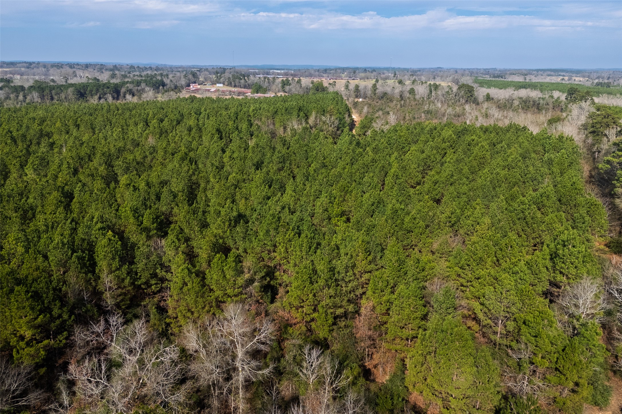 000 County Road 1245 Center TX 75935
