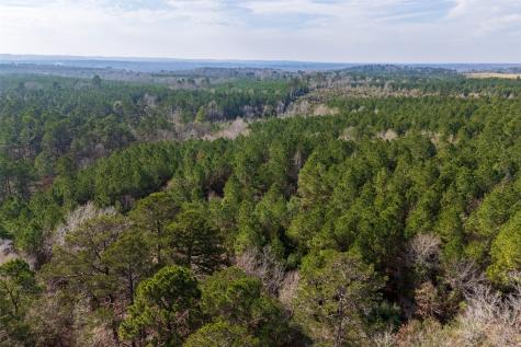 000 County Road 1245 Center TX 75935