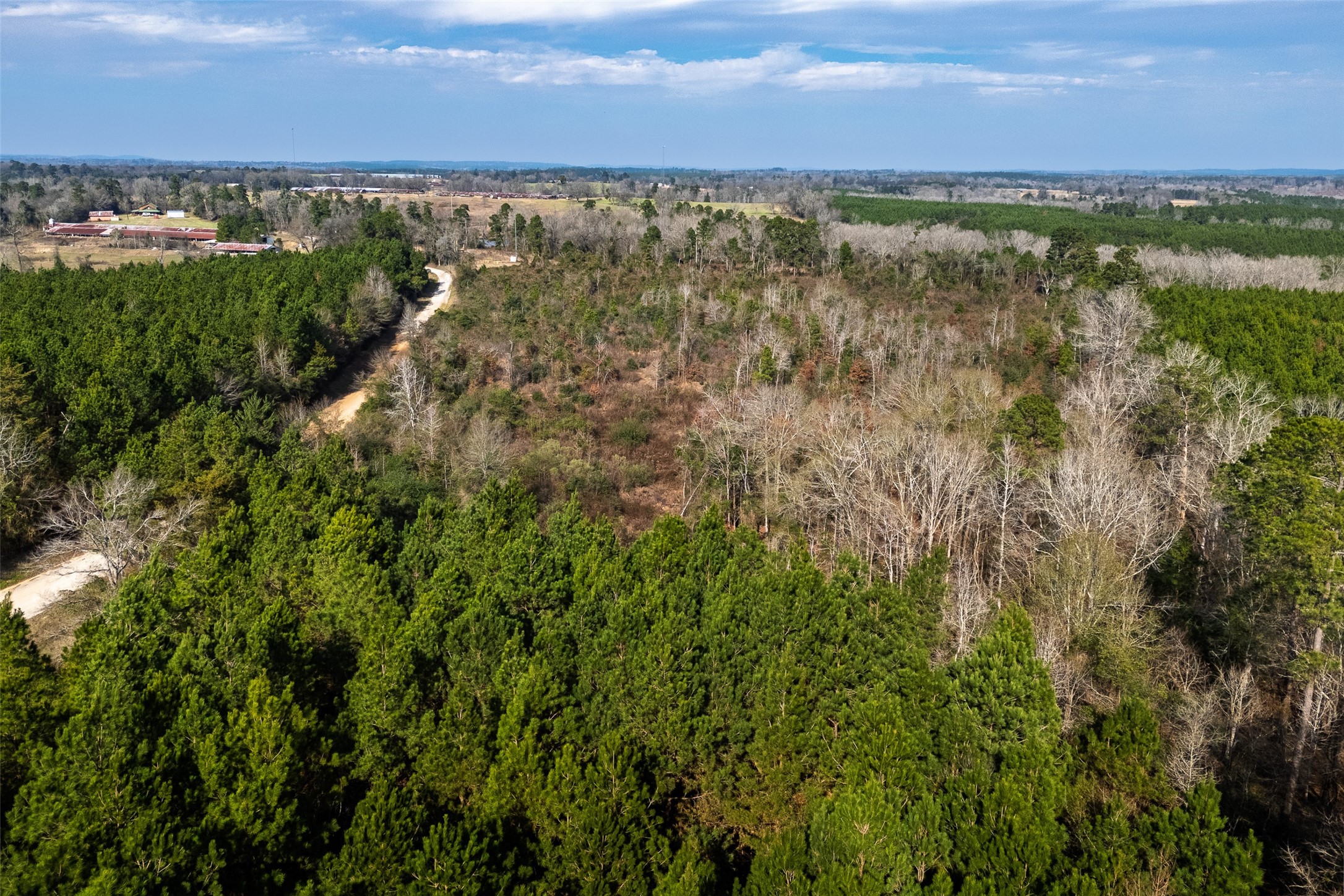 000 County Road 1245 Center TX 75935
