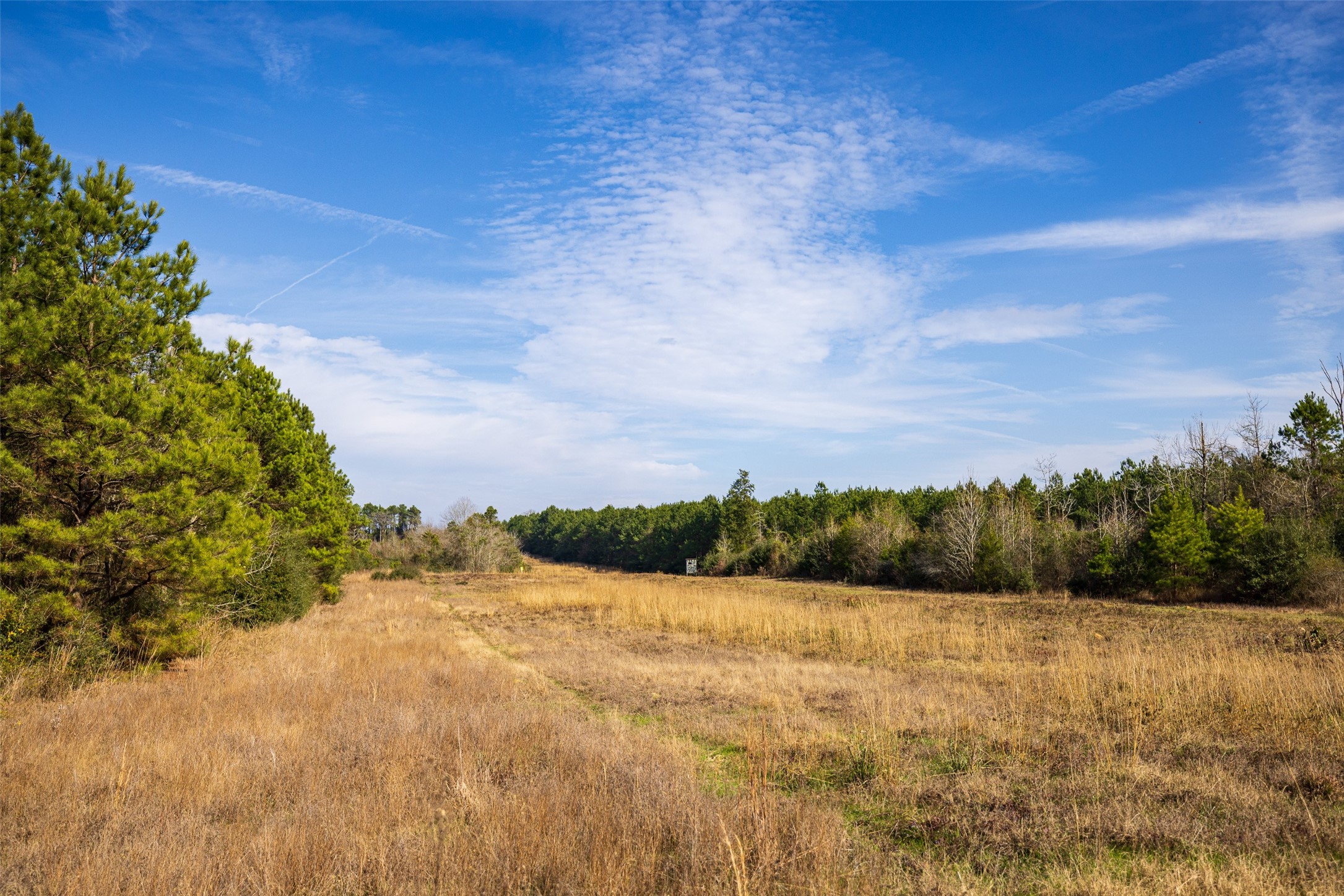 000 County Road 1245 Center TX 75935