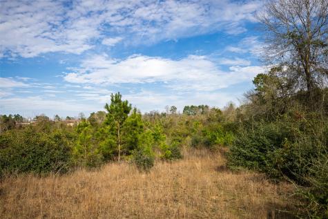 000 County Road 1245 Center TX 75935