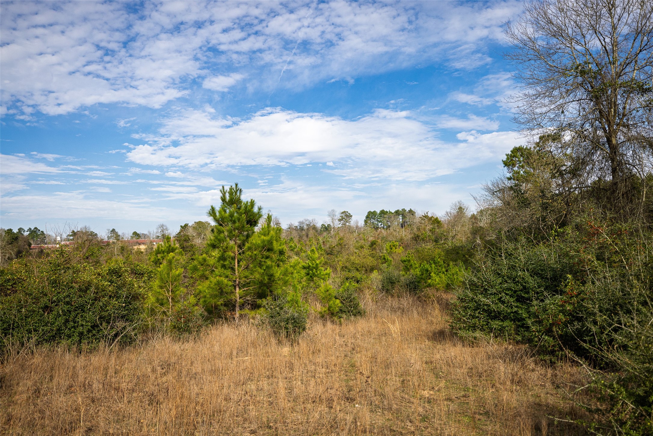 000 County Road 1245 Center TX 75935
