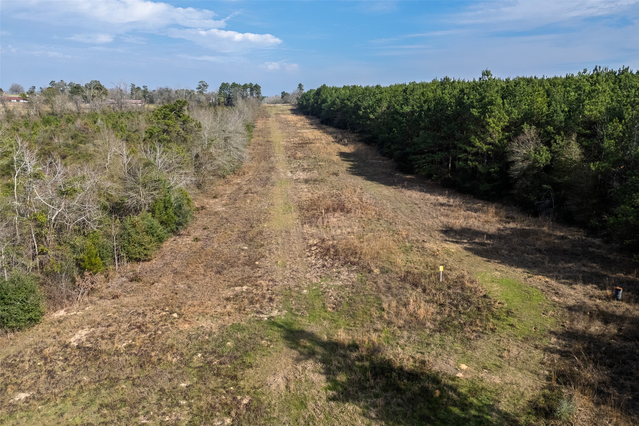 000 County Road 1245 Center TX 75935