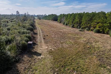 000 County Road 1245 Center TX 75935