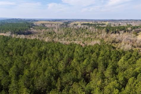 000 County Road 1245 Center TX 75935