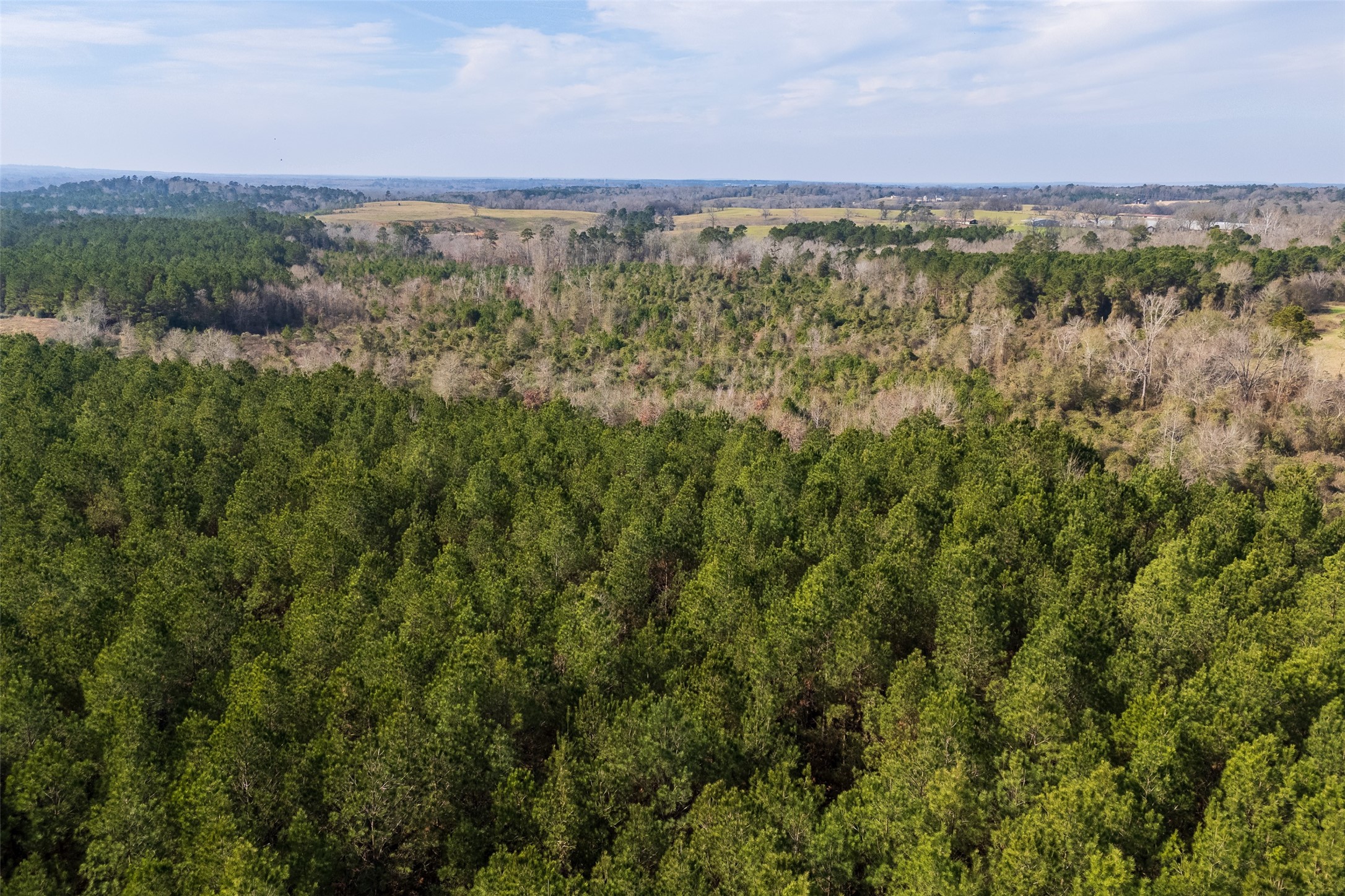 000 County Road 1245 Center TX 75935